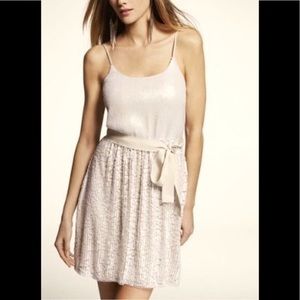 Express Sequin Dress